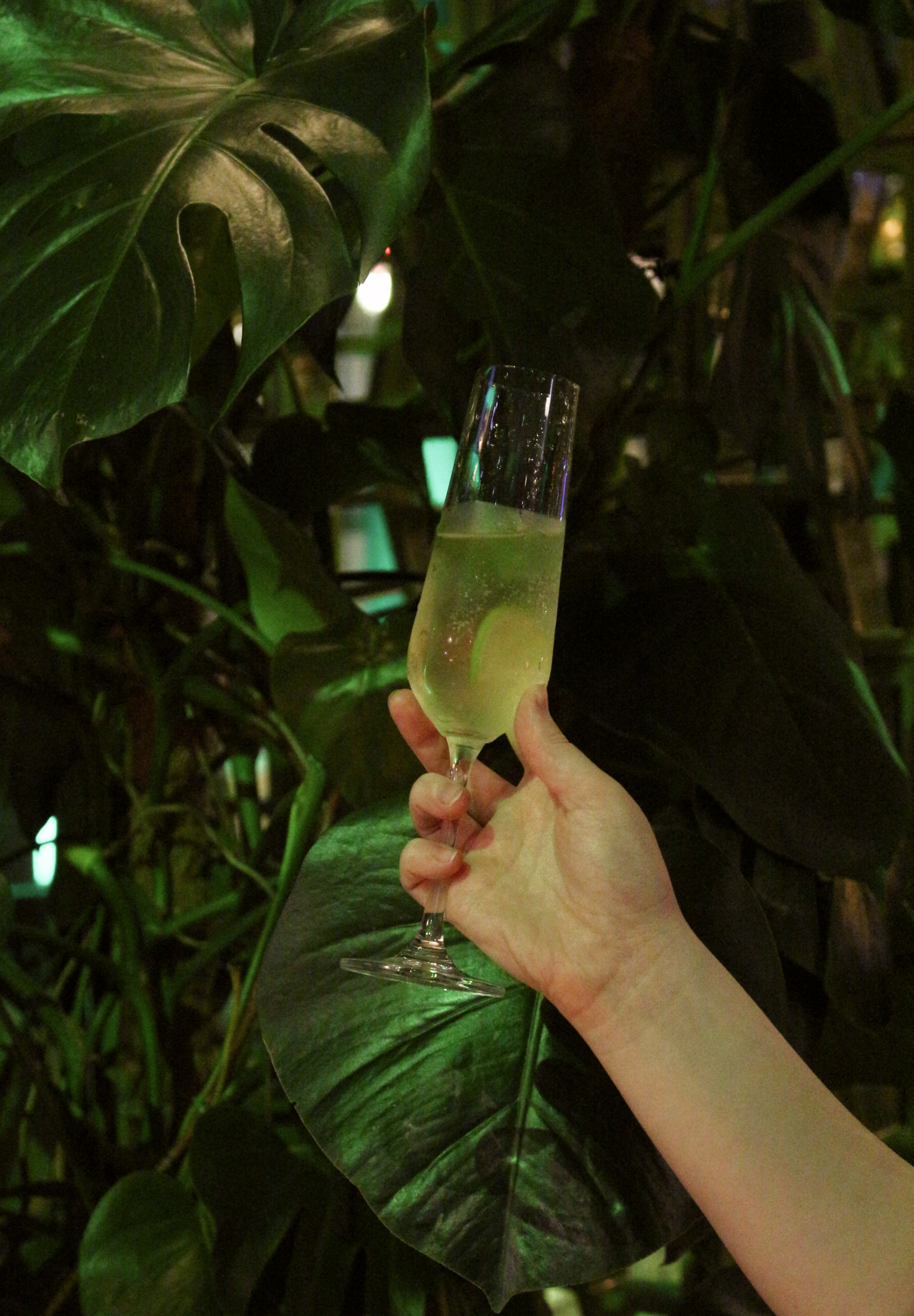 botanik drink